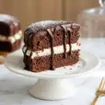 chocolate sponge cake sliced showing light airy layers and chocolate drizzle