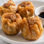 dim sim recipe golden deep fried with soy sauce dipping bowl